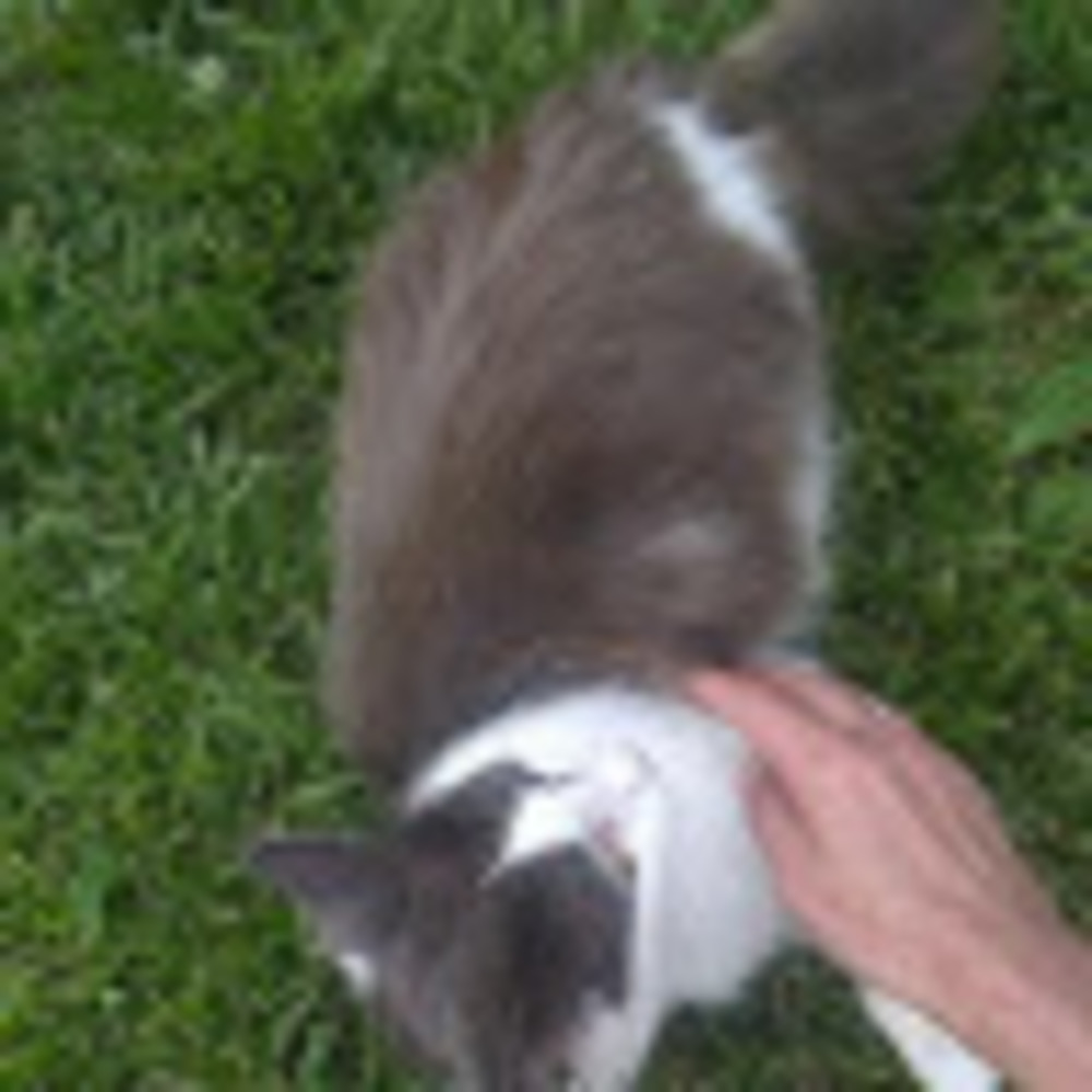 Meet your Posher, Sherry